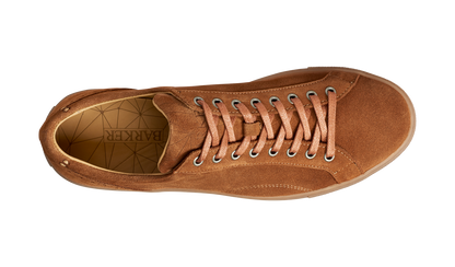 Barker Axel Sneakers Snuff Suede