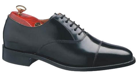 Barker Arnold Shoe in Black